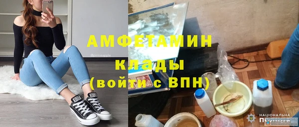 ПСИЛОЦИБИНОВЫЕ ГРИБЫ Гусев